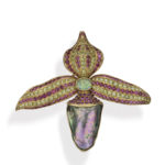 AJDC Paula Crevoshay