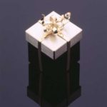 Submission by Jean Francois Albert for the 1996 cube American Jewelry Design Council Project