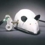 Submission by Jean Francois Albert for the 1998 key American Jewelry Design Council Project