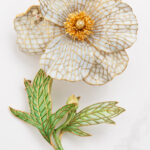 Cropped White Poppy